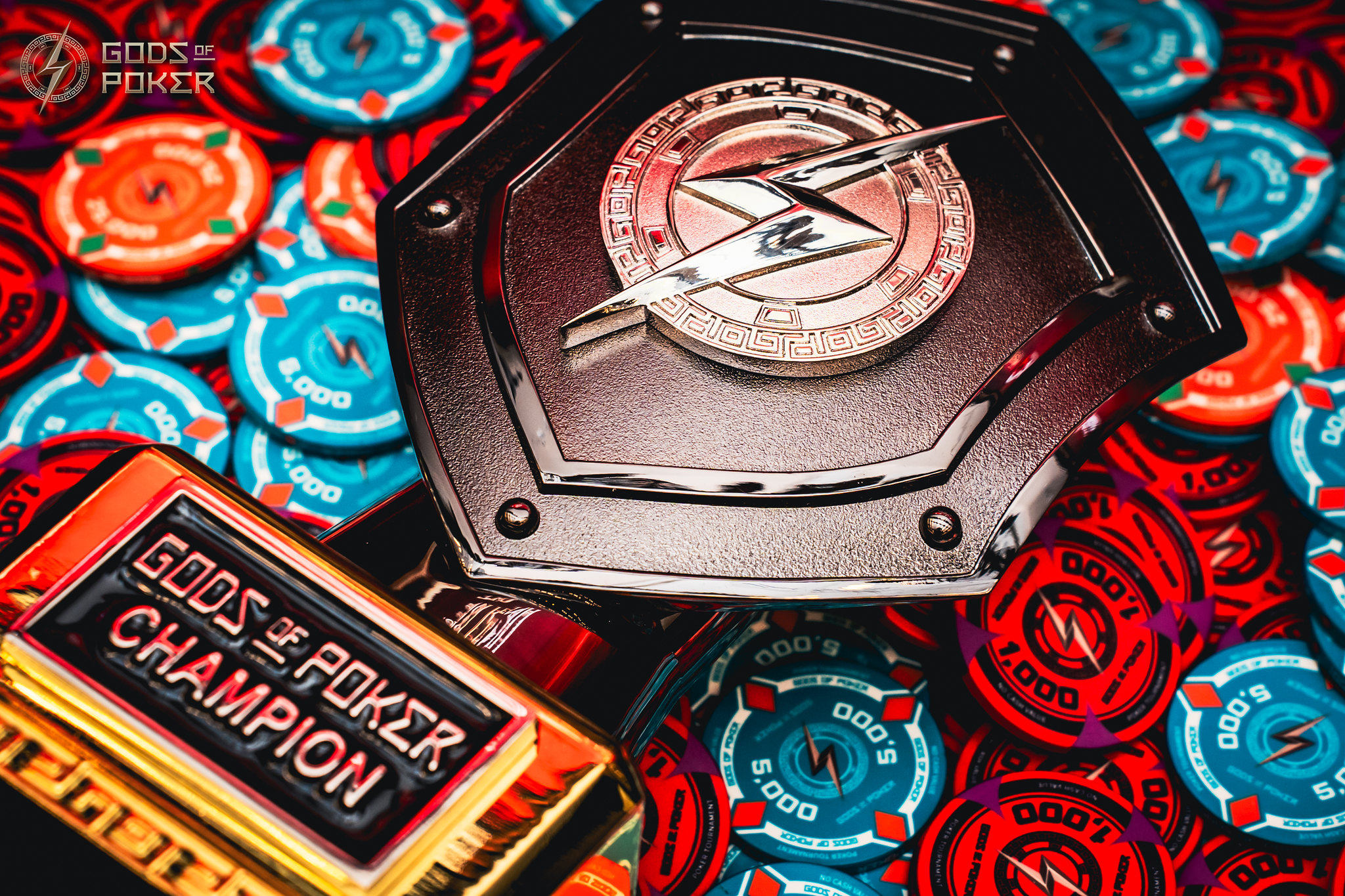 shieldandchips.jpg